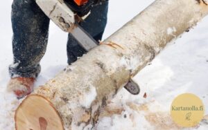 Polttopuiden teko talvella