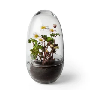 nordic_nest_grow_idatysastia