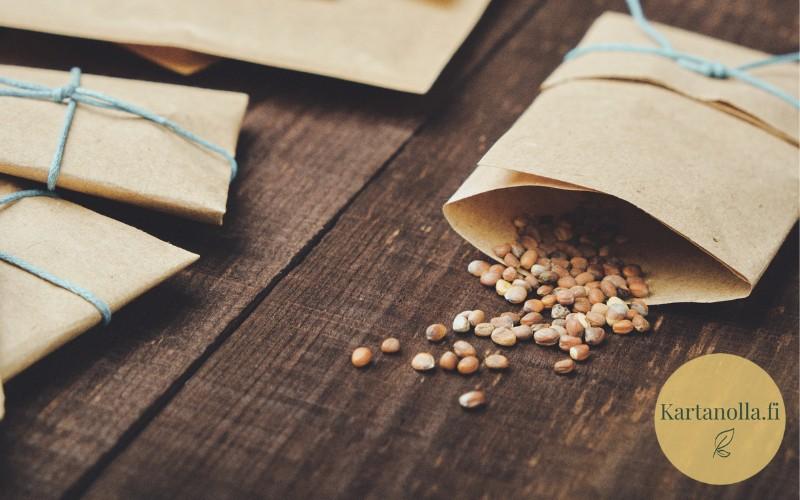 siemenia_lahjapussissa