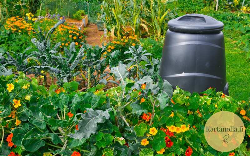 Kompostori_kasvimaalla
