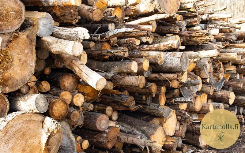 Kasa_polttopuuta_kokonaisina_runkoina