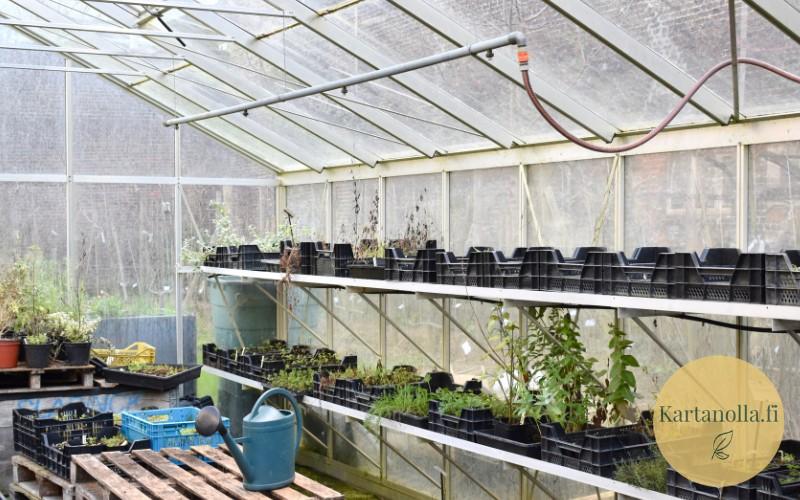 Kasvihuone_kevaalla_taimikasvatuksessa