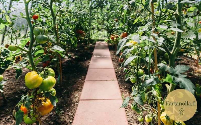 Kavihuoneen_kapea_kaytava