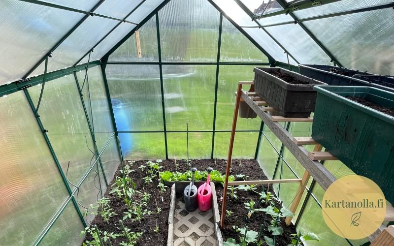 pieni_kasvihuone_kauden_alussa