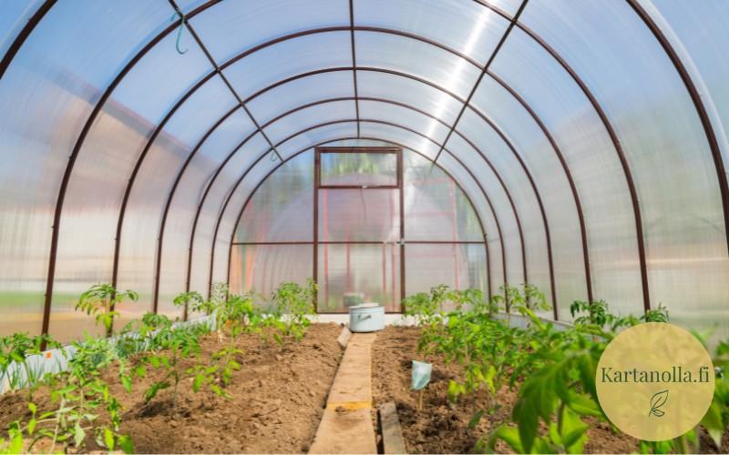Kaarikasvihuoneen_sisatiila