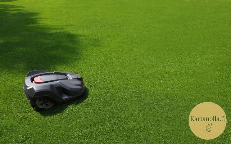 Robottiruohonleikkuri_avoimella_nurmikolla