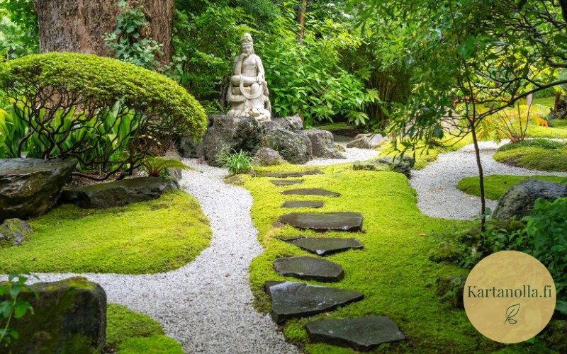 Japanilainen-puutarha-kivipolku-sammalkate-ja-muotopensaat