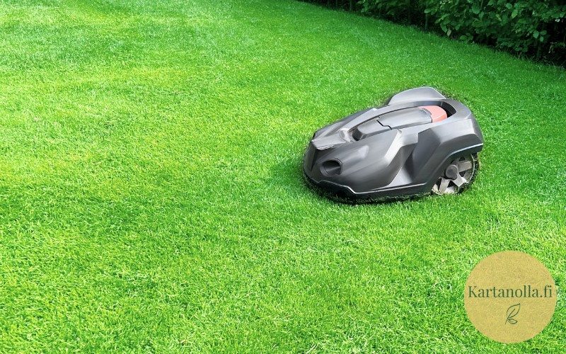 Nurmikolla-robottiruohonleikkurl-ilman-rajalankaa