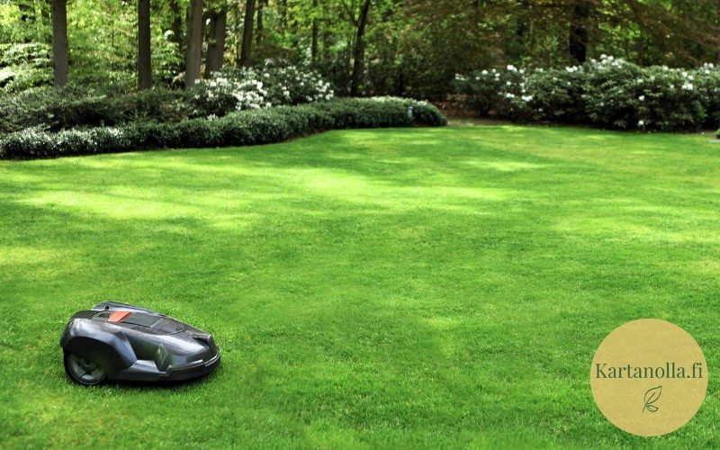 Robottiruohonleikkuri-ilman-rajalankaa-avoimella-nurmikolla