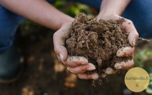 Kasvimaan-perustaminen-multaa-kasissa